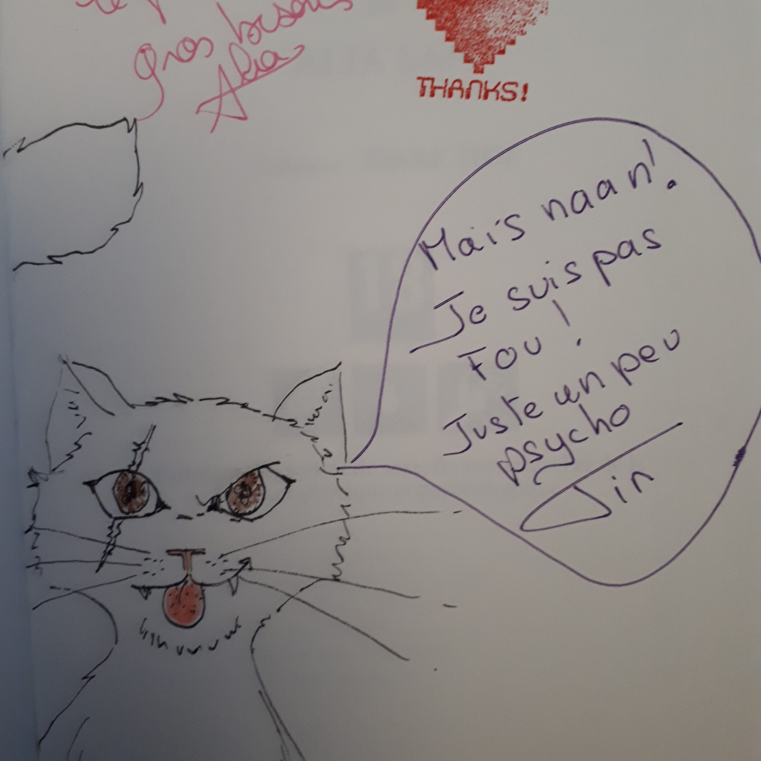 un chat dessiné avec une balafre et un regard dingue dit: «nan je suis pas fou, juste un peu psycho»